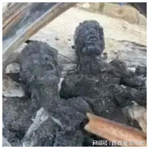 加沙地区白磷弹的恐怖后果 大火背后的罪证揭露