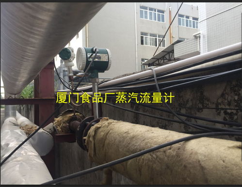 食品厂蒸汽成本核算与蒸汽流量计选型，厦门精川焦炭独家解析